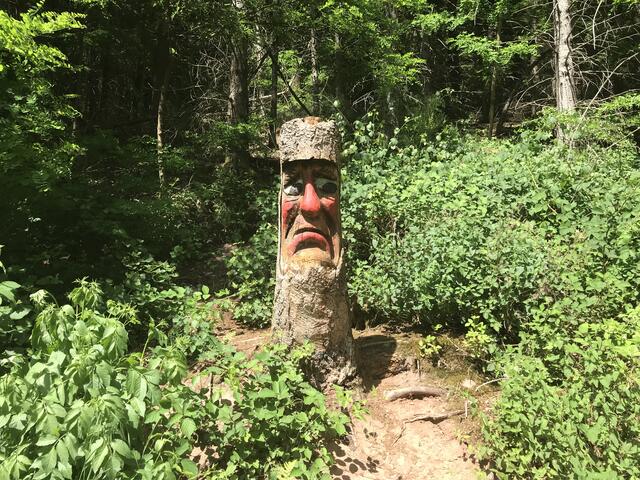 Ein eher missmutiger Geselle | Foto: B. Bender