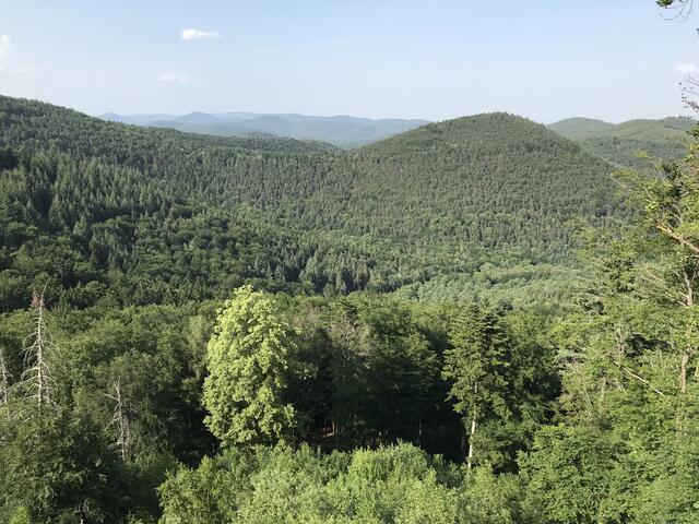 Beeindruckende Aussichten | Foto: B. Bender