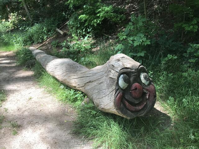 Witziger und überraschender Baumstamm | Foto: B. Bender