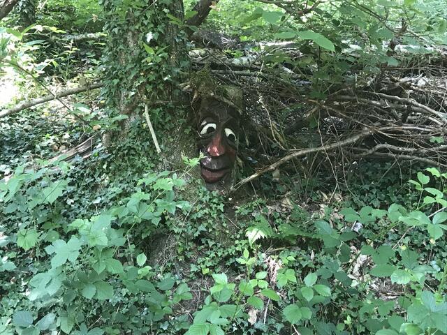 Da hat jemand versucht Verstecken zu spielen :-) | Foto: B. Bender