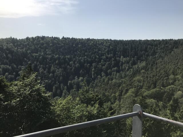 Blick von der Felskanzel | Foto: B. Bender