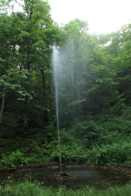 Der sogenannte Sankt Martiner Geysir | Foto: Brigitte Melder
