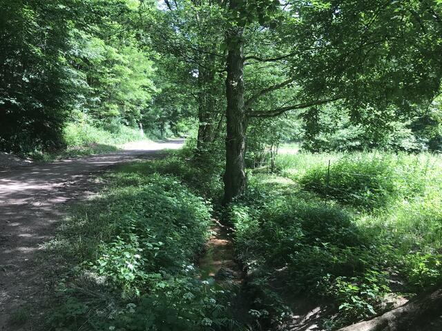 Otterbach | Foto: B. Bender