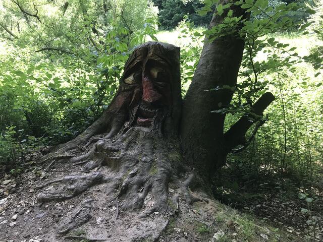Seine Begeisterung (an was auch immer) hält sich in Grenzen :-) | Foto: B. Bender