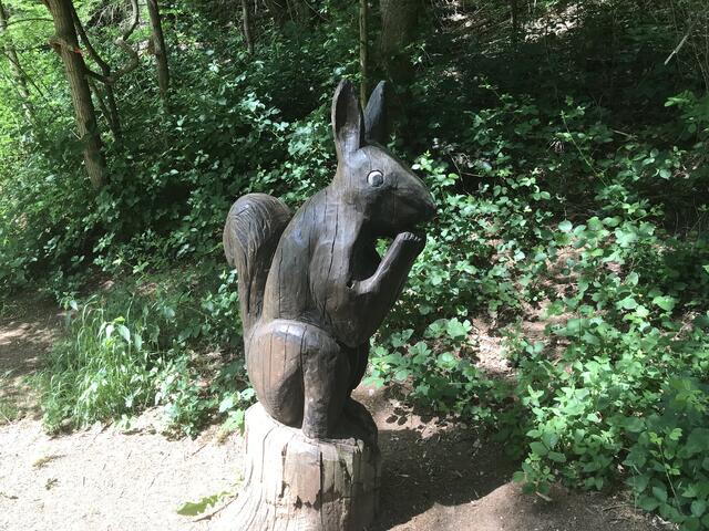 Eichhörnchen dürfen im Wald nicht fehlen | Foto: B. Bender