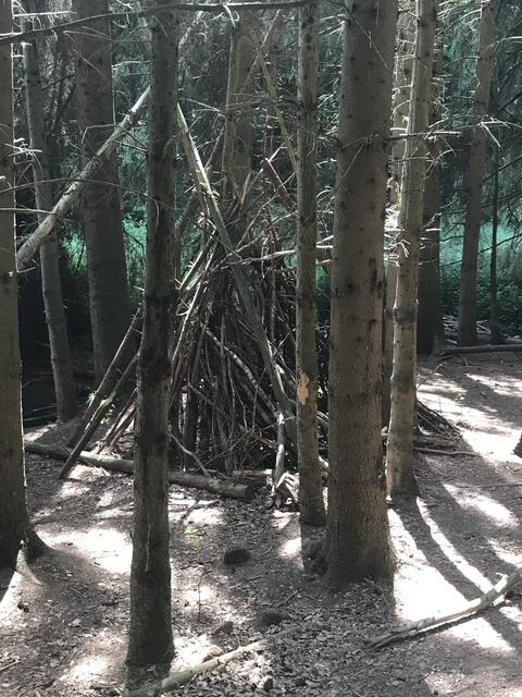 Abenteuer am Wegesrand | Foto: B. Bender