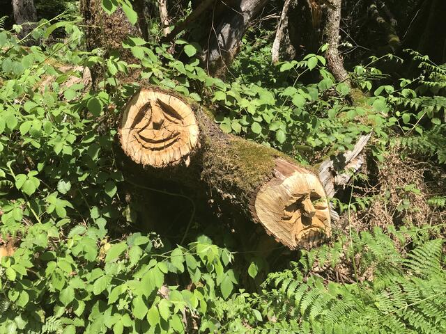 Genial - auch ohne Farbe | Foto: B. Bender