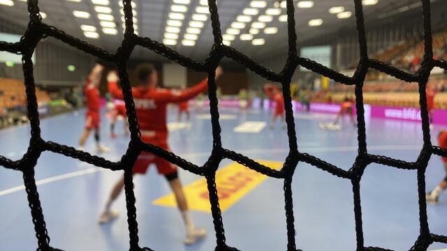 Eulen Ludwigshafen / Symbolfoto | Foto: Kim Rileit