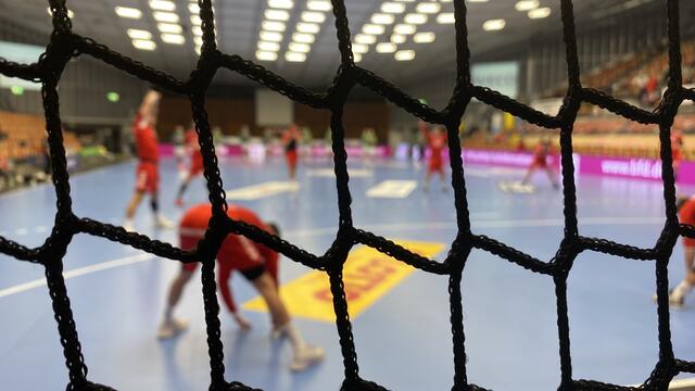 Eulen Ludwigshafen / Symbolfoto | Foto: Kim Rileit