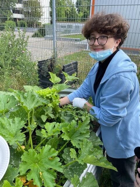 Lakisha Heißenreder erntet Salat.
 | Foto: Weiler