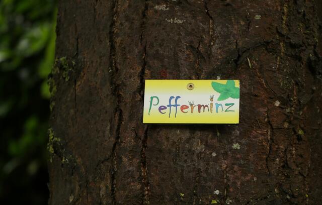 Am Viadukt zwischen Freisbach und Weingarten | Foto: Heike Schwitalla