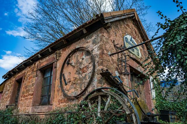...besondere Fotomotive... | Foto: Grundschule Bruchmühlbach/Martinshöhe