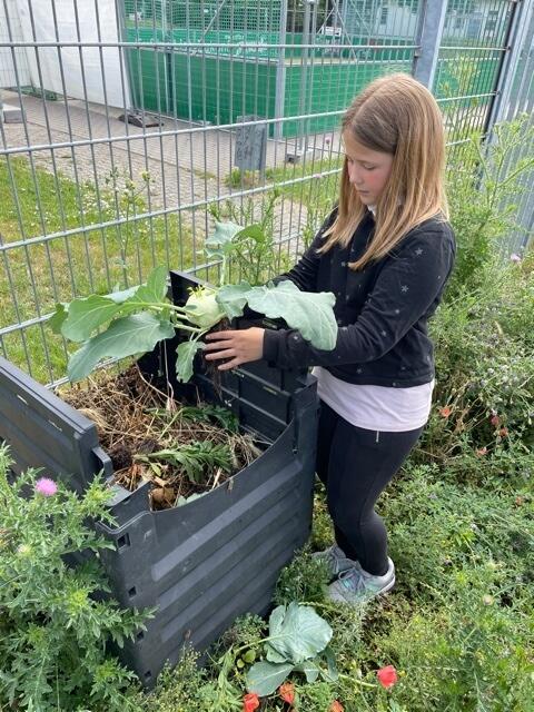 Leonie Langohr mit frisch geerntetem Kohlrabi…
 | Foto: Weiler
