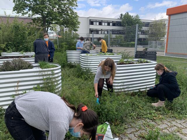 PeterGärtnerRealschule plus BöhlIggelheim Im Schulgarten Natur
