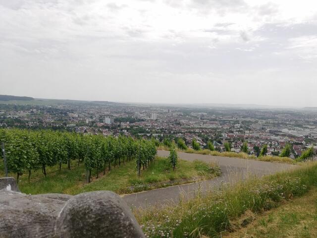 Aussicht vom Wartberg | Foto: Alexandra Nachtigal
