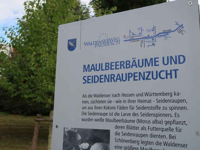 Waldenserweg Palmbach | Foto: Roland Jourdan