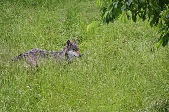 Foto: Ilona Schäfer