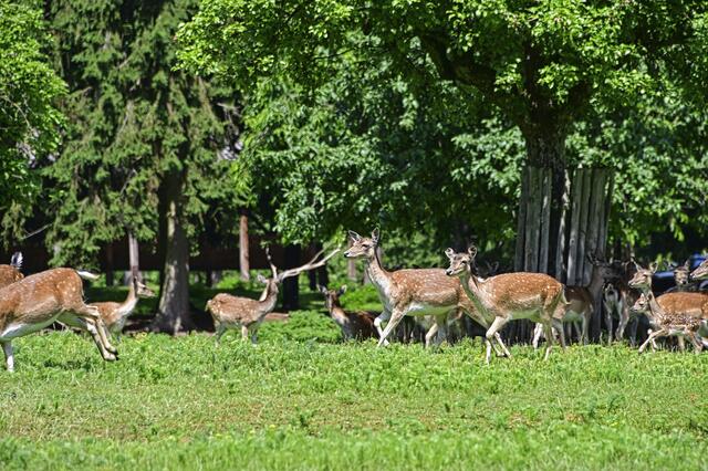 Foto: Ilona Schäfer