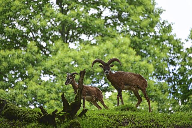 Foto: Ilona Schäfer