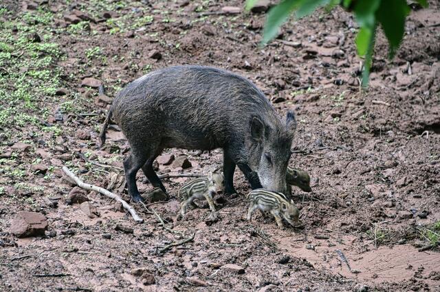 Foto: Ilona Schäfer