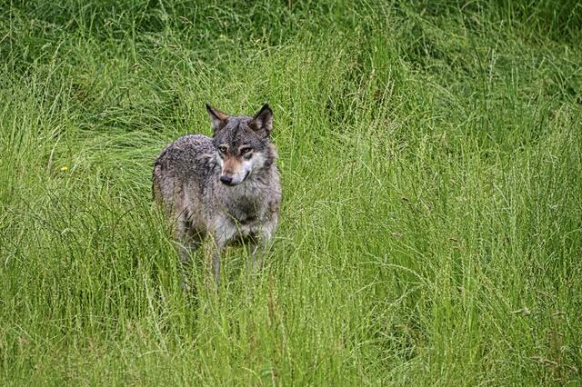 Foto: Ilona Schäfer