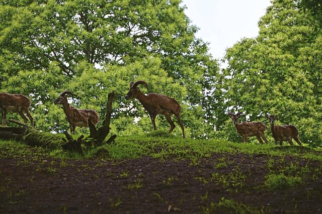 Foto: Ilona Schäfer