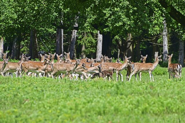 Foto: Ilona Schäfer