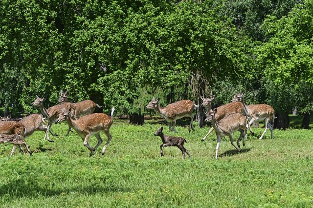 Foto: Ilona Schäfer