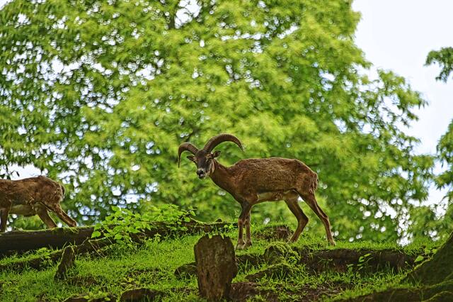 Foto: Ilona Schäfer