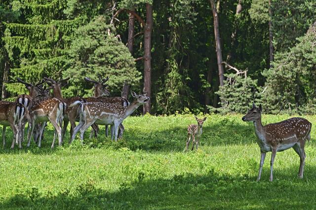 Foto: Ilona Schäfer