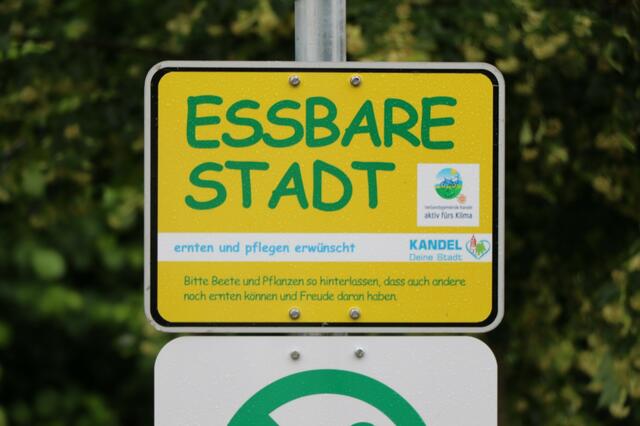 Essbare Stadt Kandel | Foto: Heike Schwitalla