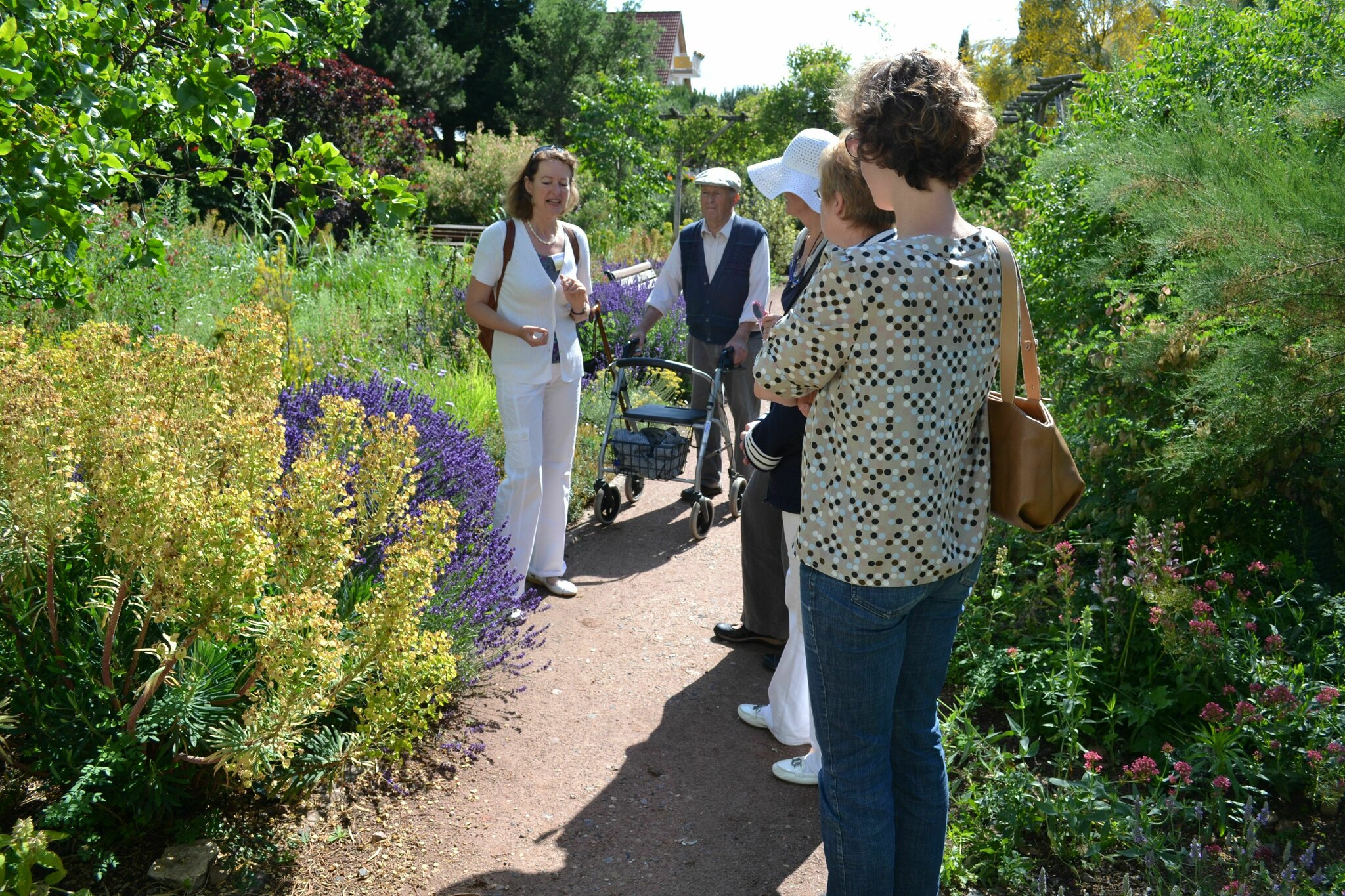 Mediterraner Garten Maikammer Botanische Führung Maikammer
