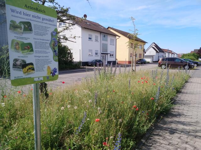 „ArtenReich-Tafeln“ stehen u.a. in Ubstadt am Friedhof, in Weiher in der Heerstraße, in Stettfeld in der Ringstraße sowie am alten Friedhof in Zeutern. | Foto: Silke Weber, Bau- und Umweltamt