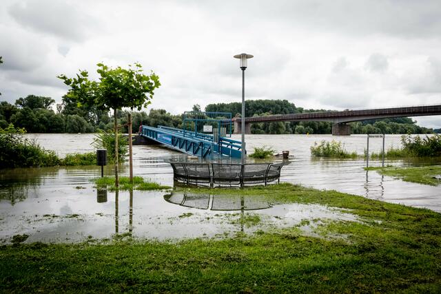 Hochwasser in Speyer | Foto: Cornelia Bauer