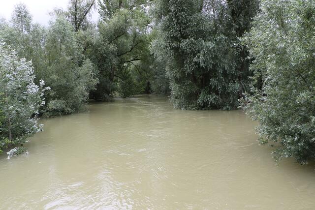 Überfluteter Altrhein | Foto: Heike Schwitalla