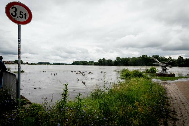 Hochwasser in Speyer | Foto: Cornelia Bauer