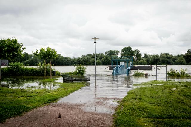 Hochwasser in Speyer | Foto: Cornelia Bauer