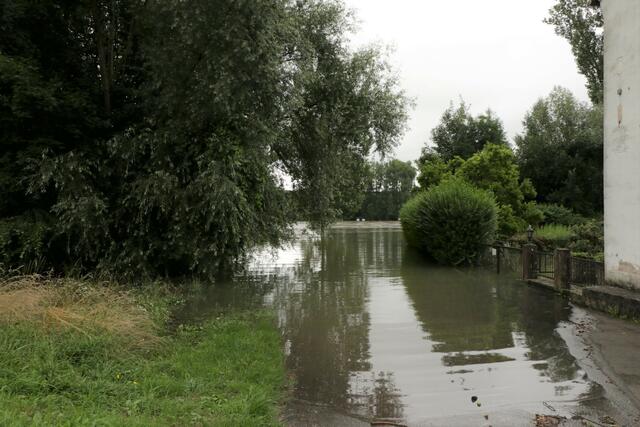 Hochwasser in Germersheim | Foto: Heike Schwitalla