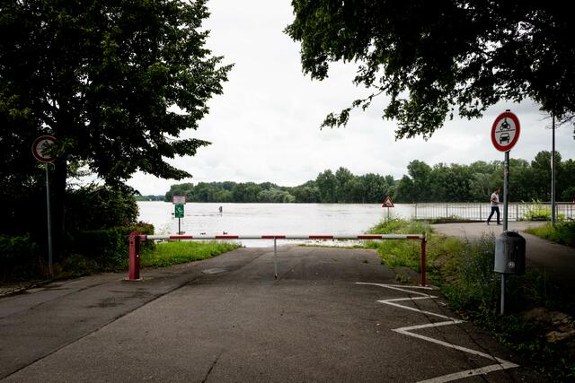 Hochwasser in Speyer | Foto: Cornelia Bauer