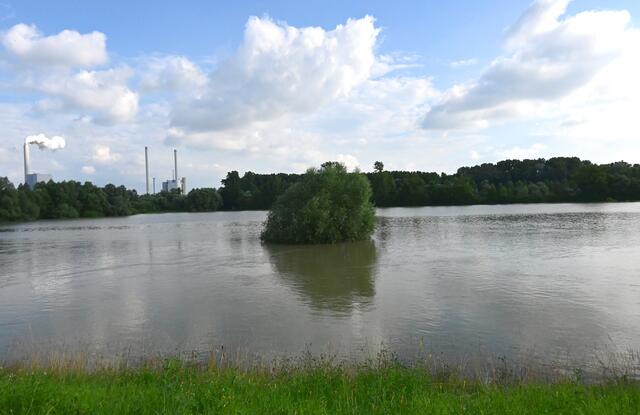 Goldgrund bei Hochwasser | Foto: A. Abt