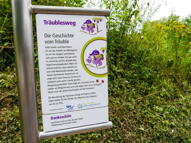 Foto: Gemeinde Weingarten 