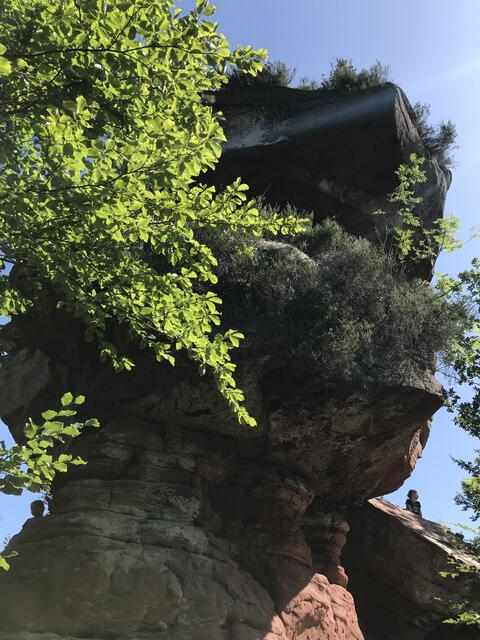 Erster Eindruck | Foto: B. Bender