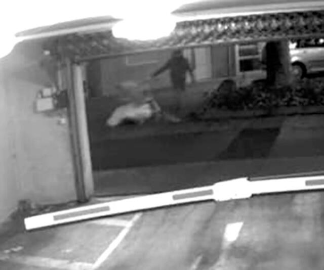 Foto: Polizeipräsidium Westpfalz