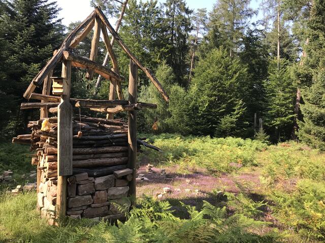 "Insektenheim" | Foto: B. Bender