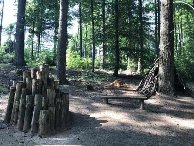 "Zuwachsburg" | Foto: B. Bender