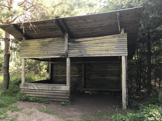 "Hör mal hin" | Foto: B. Bender