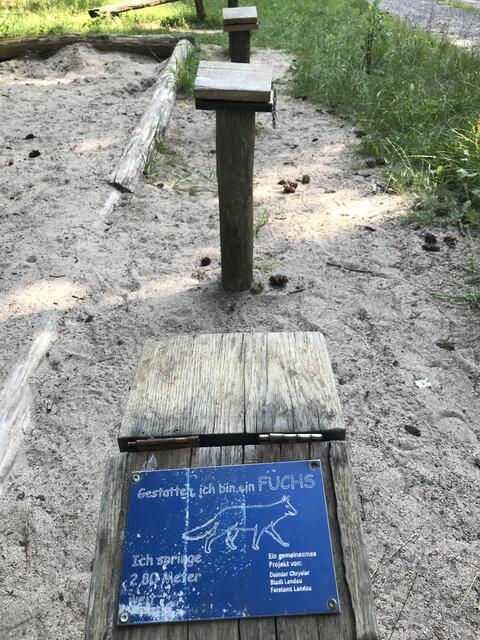 Der Fuchs schafft 2,80 Meter | Foto: B. Bender