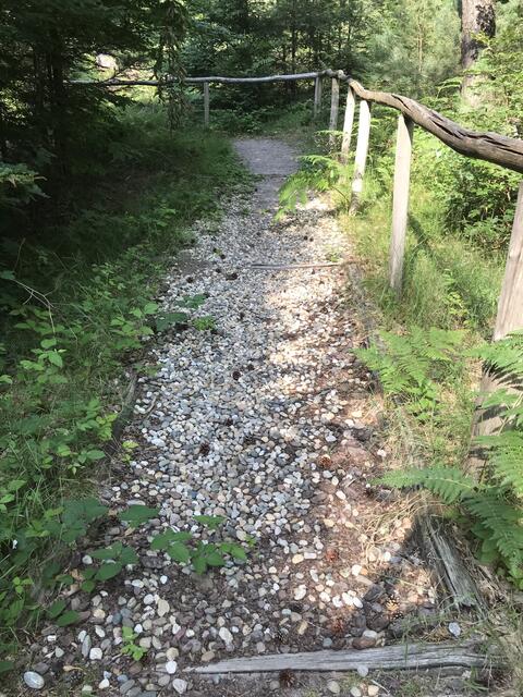 Der "Sinnenpfad" ist in die Jahre gekommen, aber begehbar | Foto: B. Bender