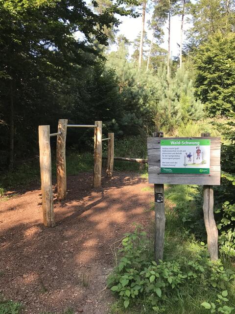 "Wald-Schwung" | Foto: B. Bender