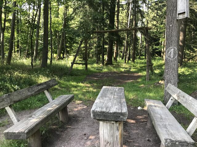 "Hineinschwingen"  | Foto: B. Bender